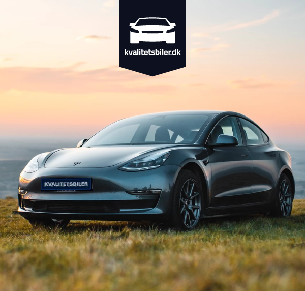 a car parked on grass